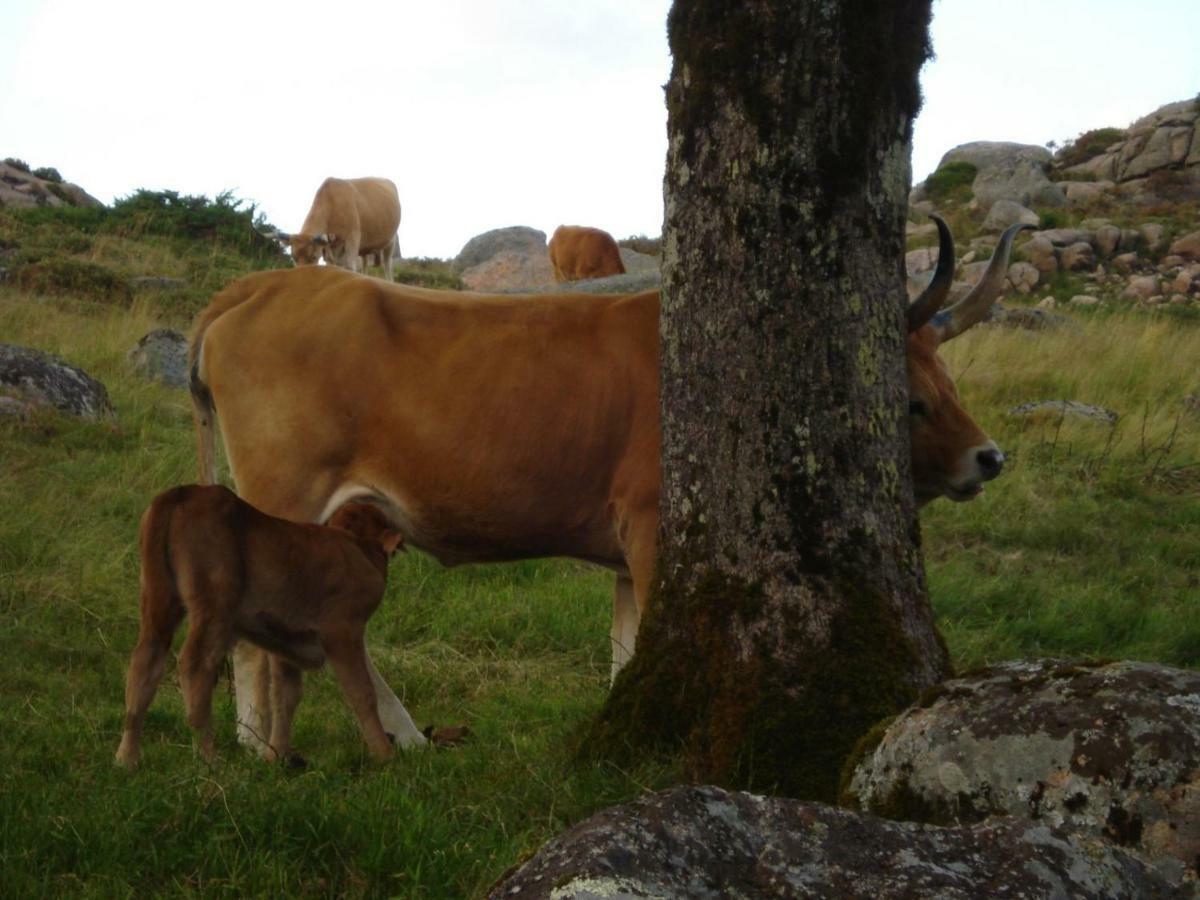 Vila Casa Tritao Campo do Geres Exteriér fotografie